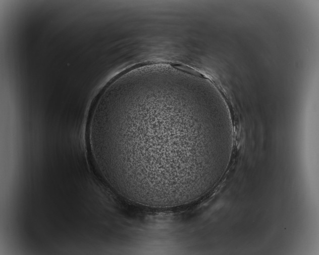 X0000088360196200705291314