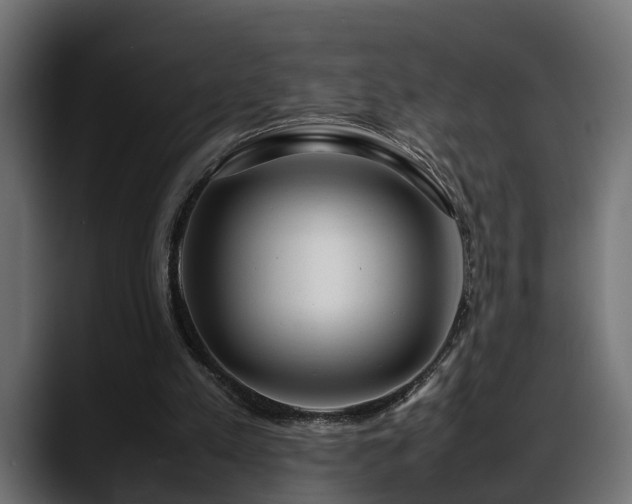 X0000088360197200705291314