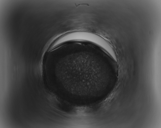 X0000088360200200705291314