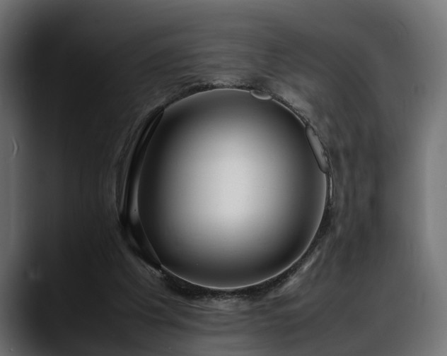 X0000088360201200705291314