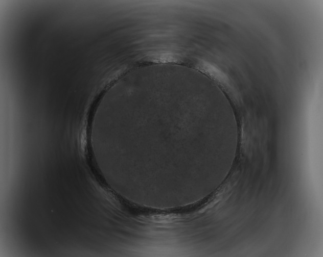 X0000088360202200705291314