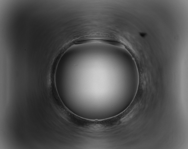 X0000088360203200705291314