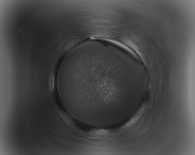 X0000088360205200705291314