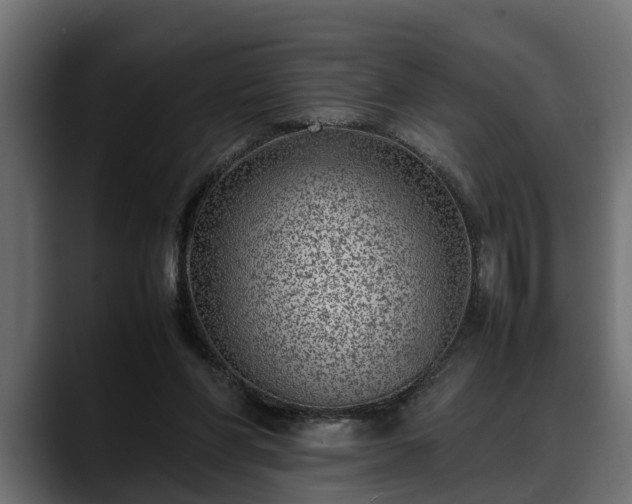 X0000088360206200705291314