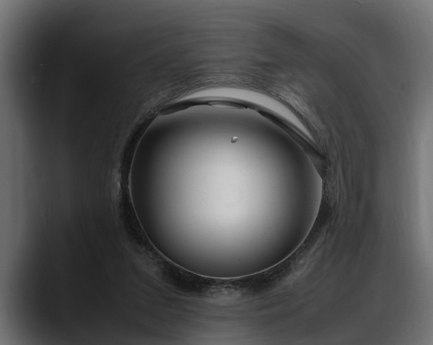 X0000088360207200705291314