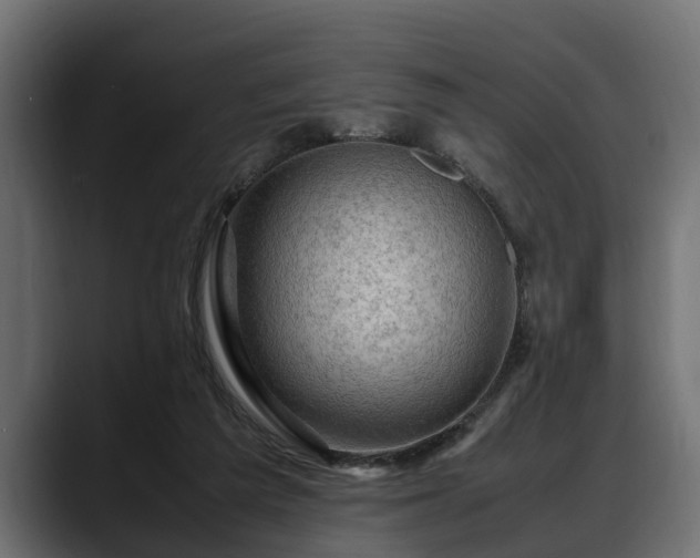 X0000088360209200705291314