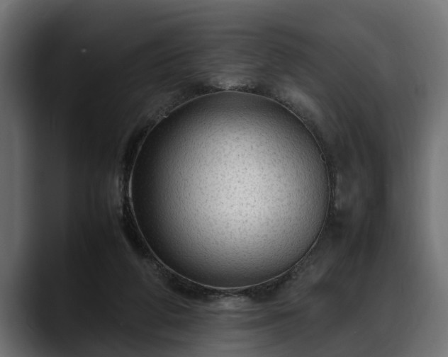 X0000088360210200705291314