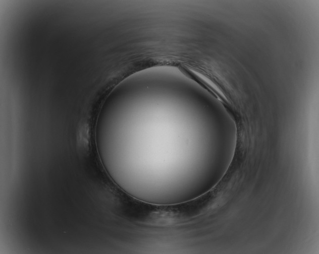 X0000088360211200705291314