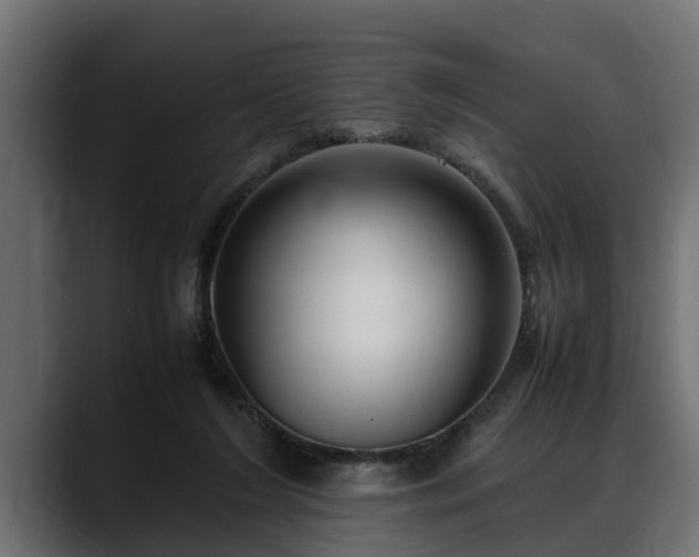 X0000088360212200705291314