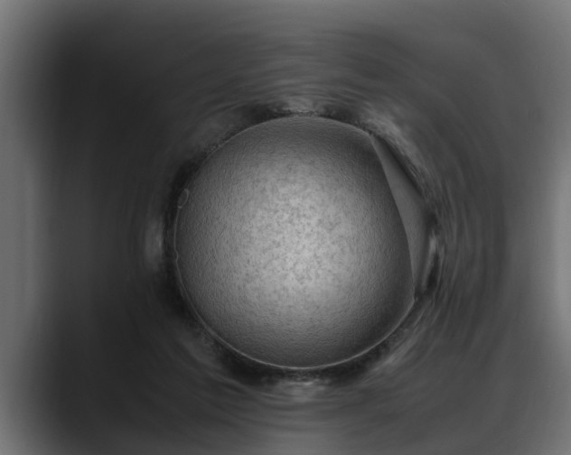 X0000088360213200705291314