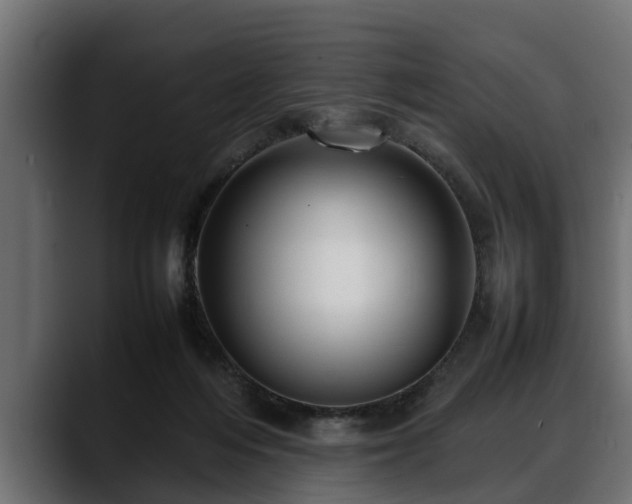 X0000088360216200705291314