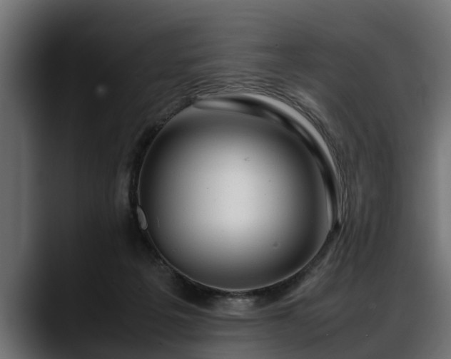 X0000088360217200705291314