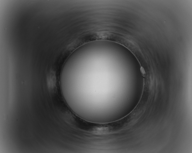 X0000088360220200705291314