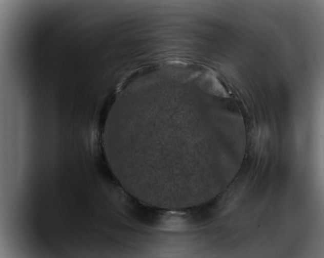 X0000088360222200705291314