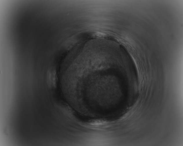 X0000088360223200705291314