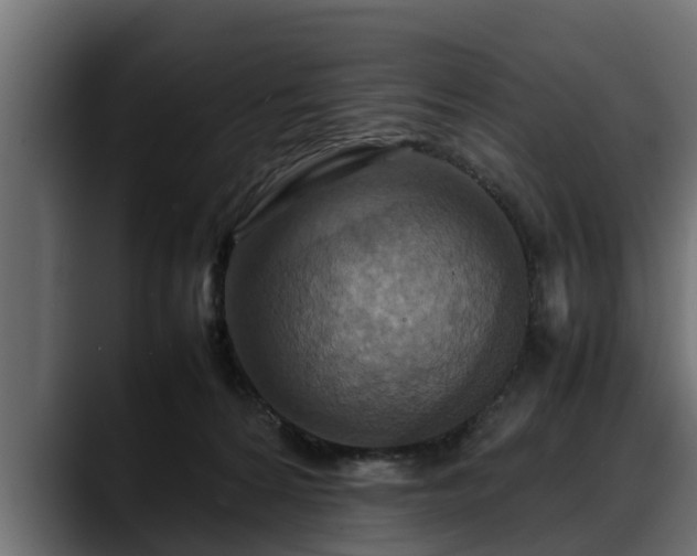 X0000088360224200705291314