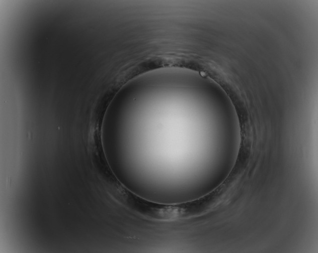 X0000088360225200705291314