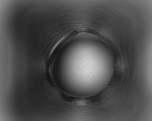 X0000088360228200705291314