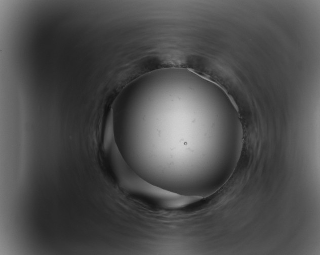 X0000088360229200705291314