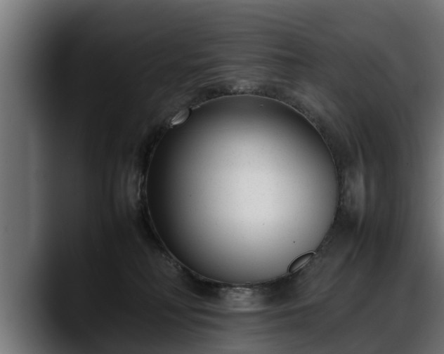 X0000088360230200705291314