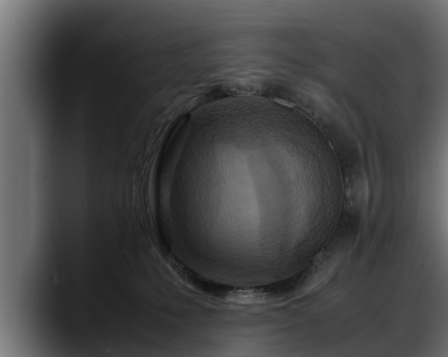 X0000088360231200705291314