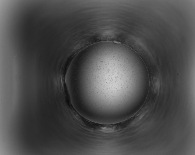 X0000088360232200705291314