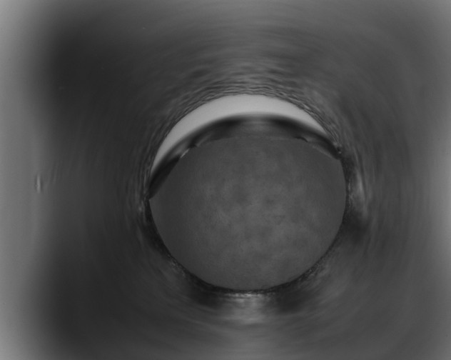 X0000088360233200705291314