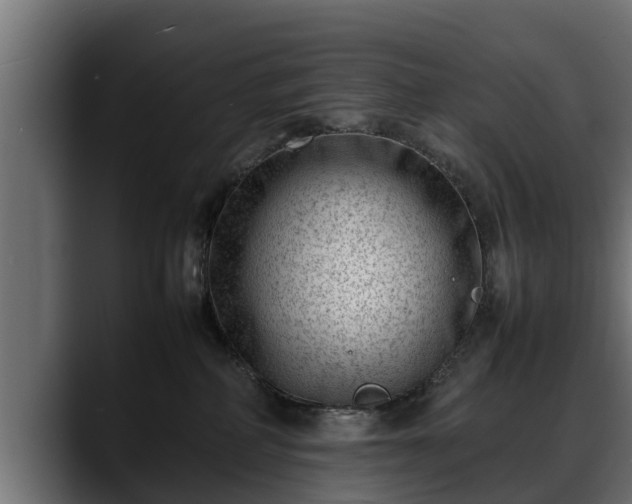 X0000088360234200705291314