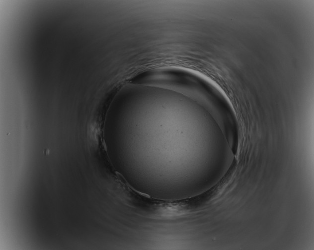 X0000088360235200705291314