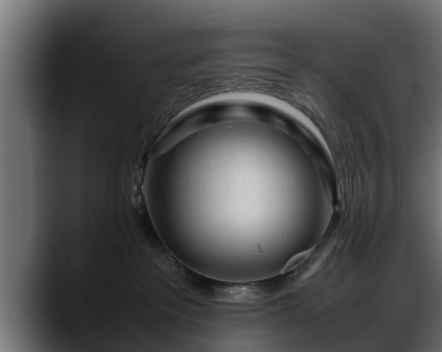 X0000088360237200705291313