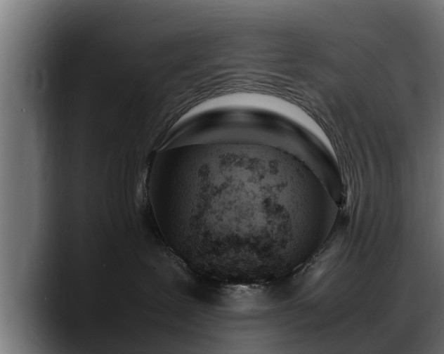 X0000088360239200705291313