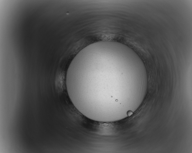 X0000088360240200705291313