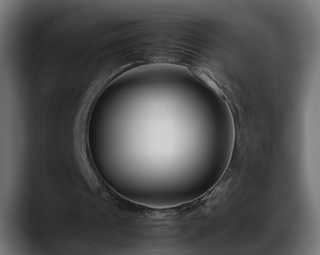 X0000088360241200705291313