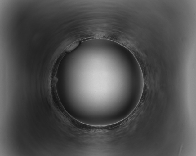 X0000088360242200705291313