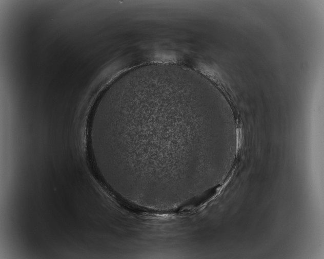 X0000088360243200705291313