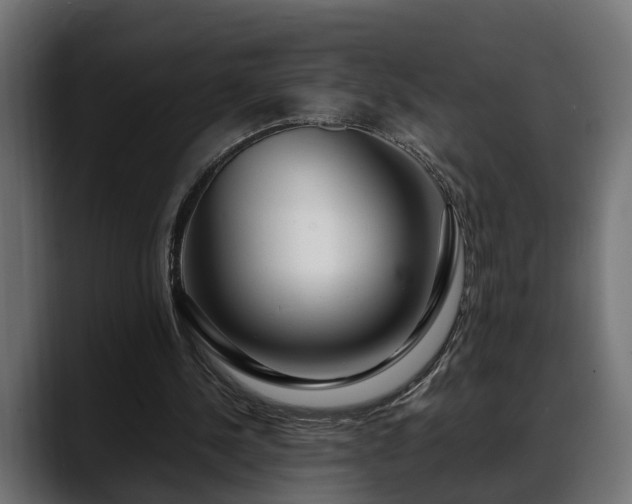 X0000088360244200705291313