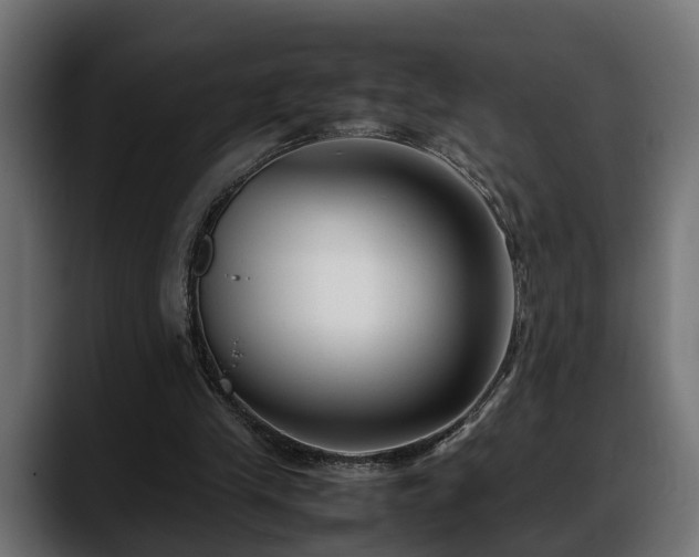 X0000088360245200705291313