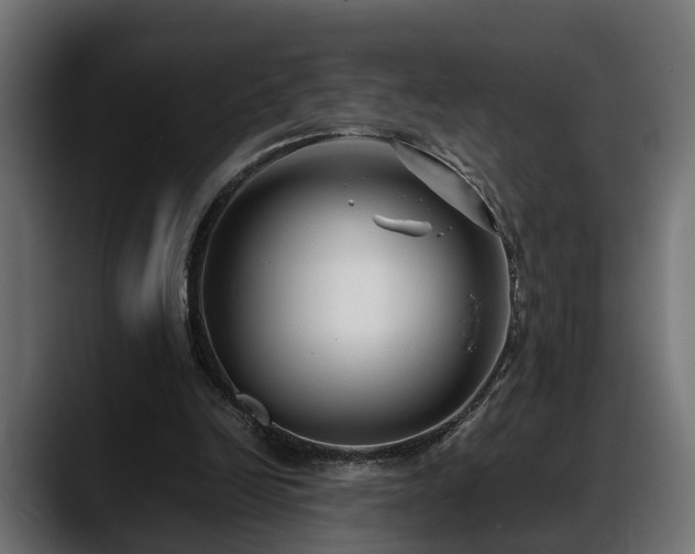 X0000088360246200705291313