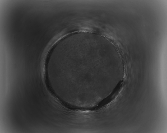 X0000088360247200705291313