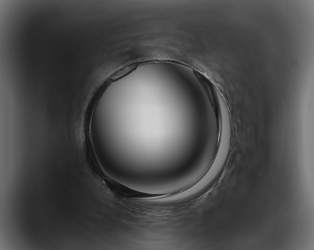 X0000088360248200705291313