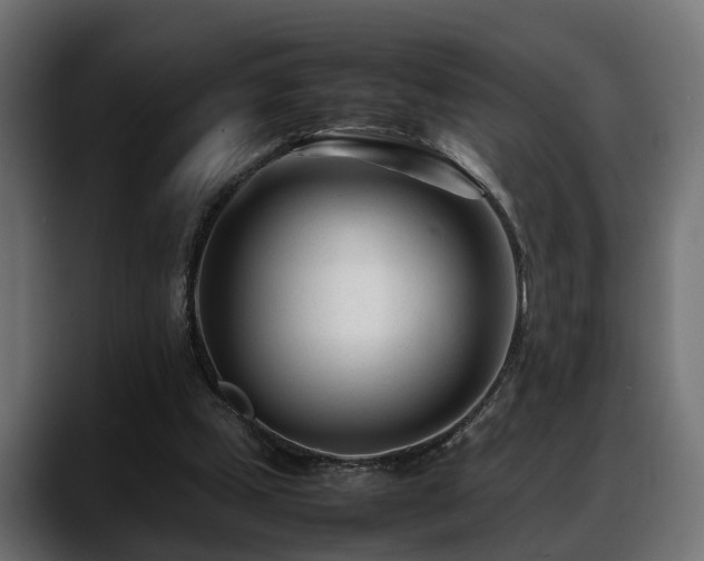 X0000088360249200705291313