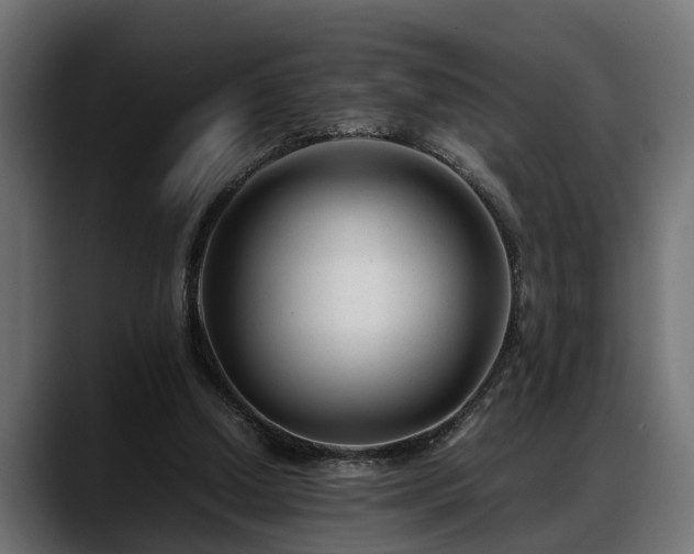 X0000088360250200705291313