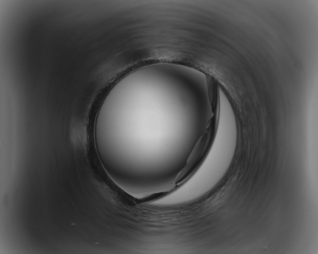 X0000088360252200705291313