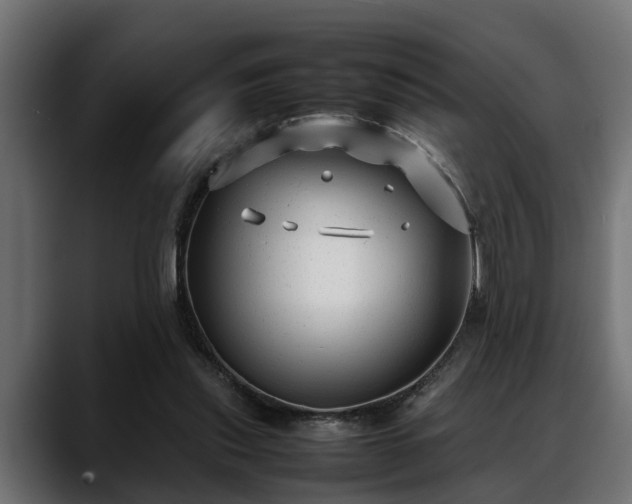 X0000088360253200705291313