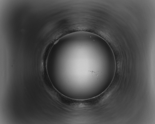 X0000088360254200705291313