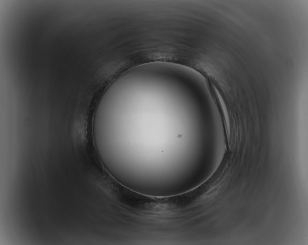 X0000088360255200705291313