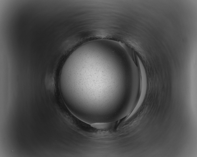 X0000088360256200705291313