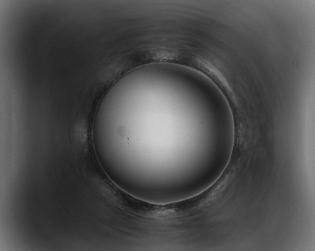 X0000088360257200705291313