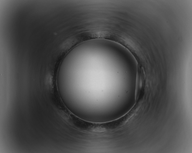 X0000088360258200705291313