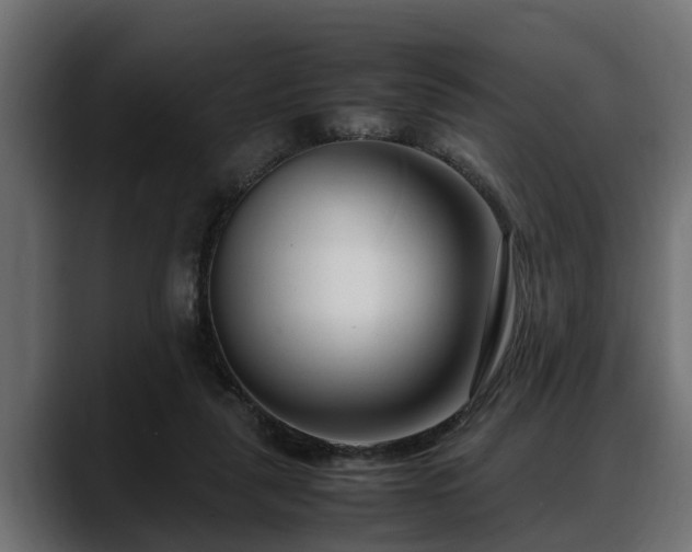 X0000088360259200705291313